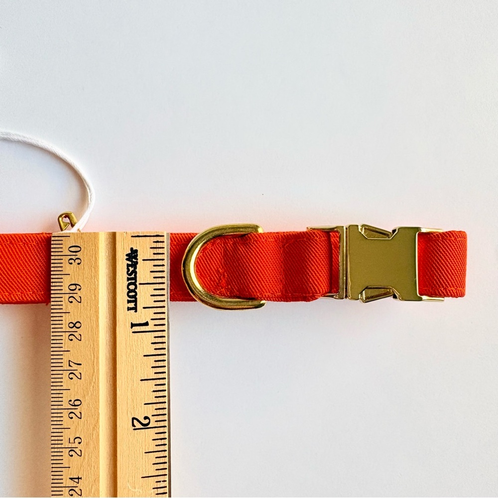 The Foggy Dog Orange Dog Collar Small Gold Hardware Pet Fall Harvest NEW w/ tags - Picture 12 of 13